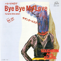 Bye Bye My Love专辑