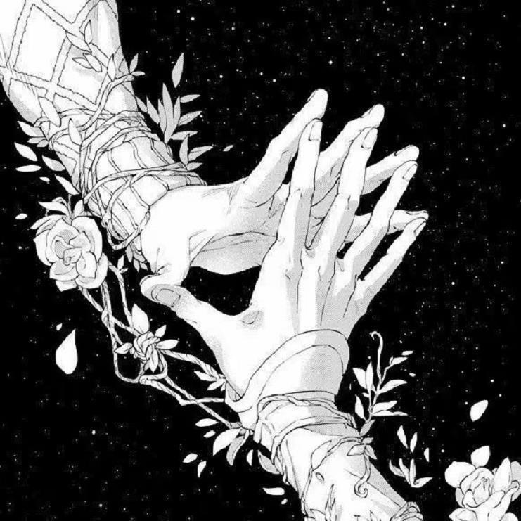 星光