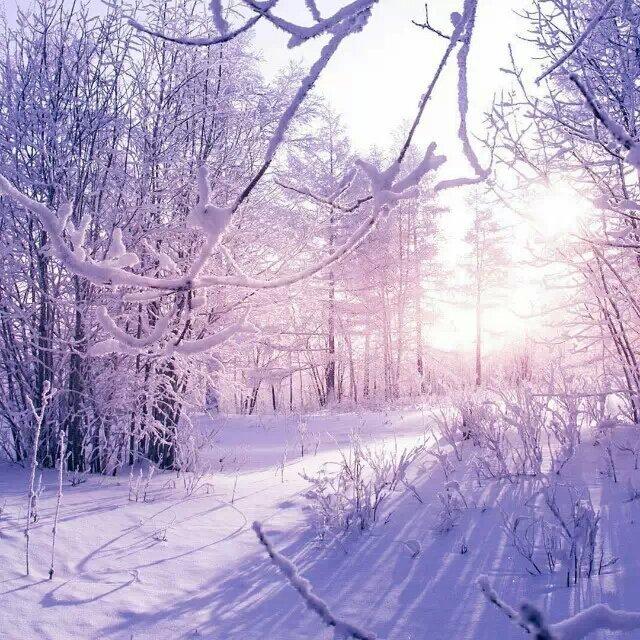 雪がとける前に