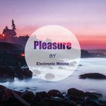 Pleasure (愉快)专辑