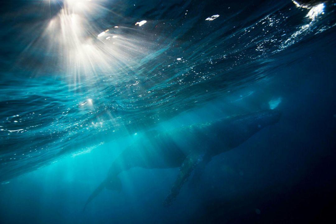 ㅤㅤㅤㅤㅤㅤㅤㅤ