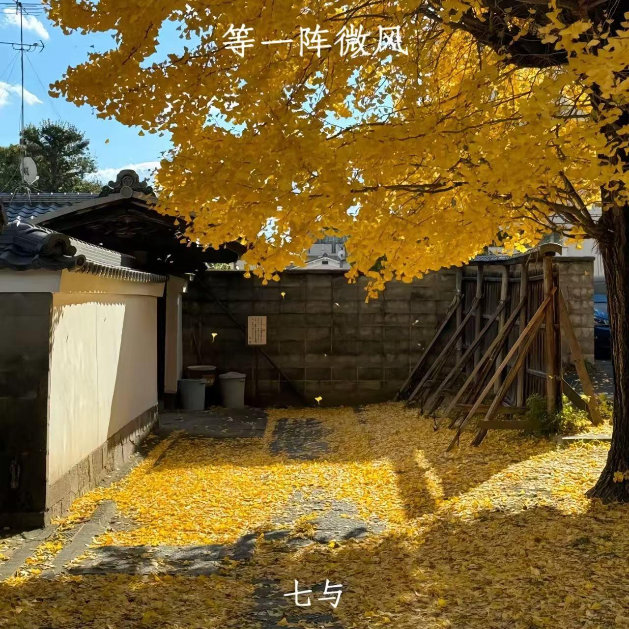 等一阵微风