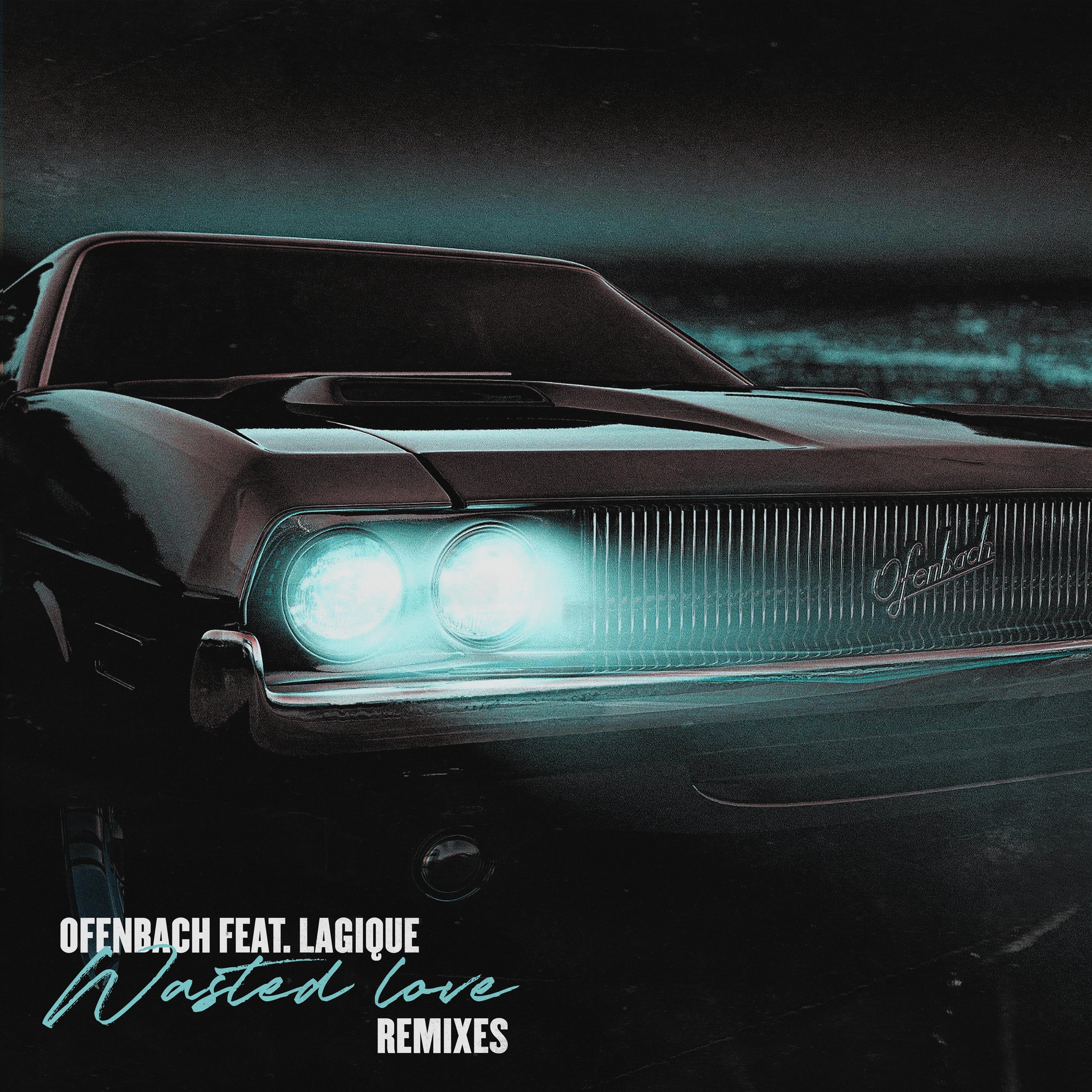 Wasted Love (feat. Lagique) [Remixes, part.2]