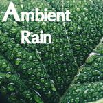 16 Ambient Rain and Nature Sounds for Quick and Easy Meditation and Sleep专辑