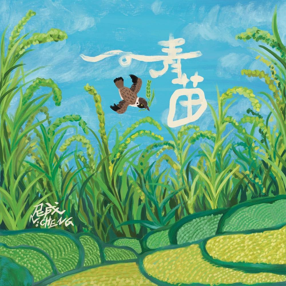 尼成NICHENG - 青苗
