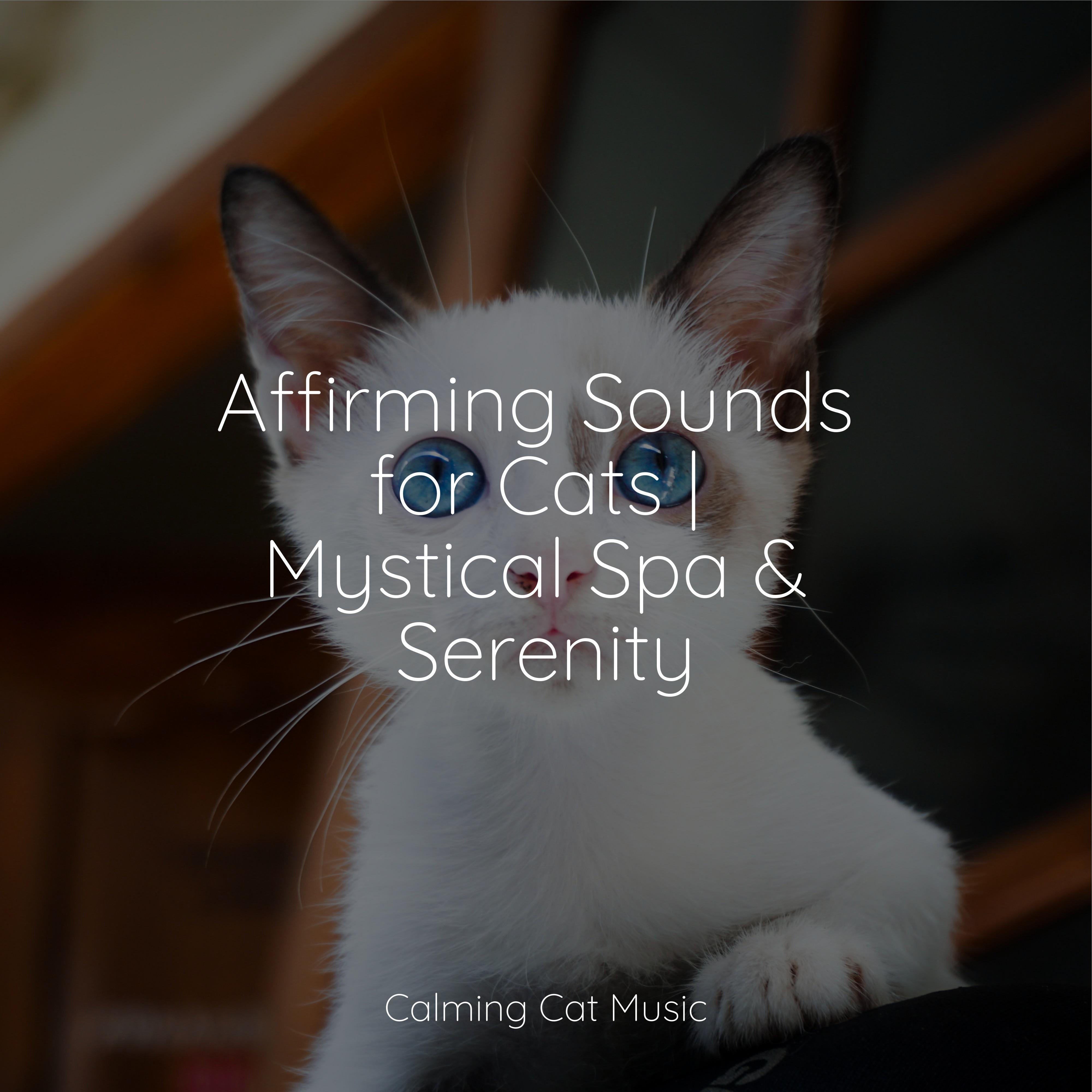 for cats project/music for relaxing cats/music for resting cats