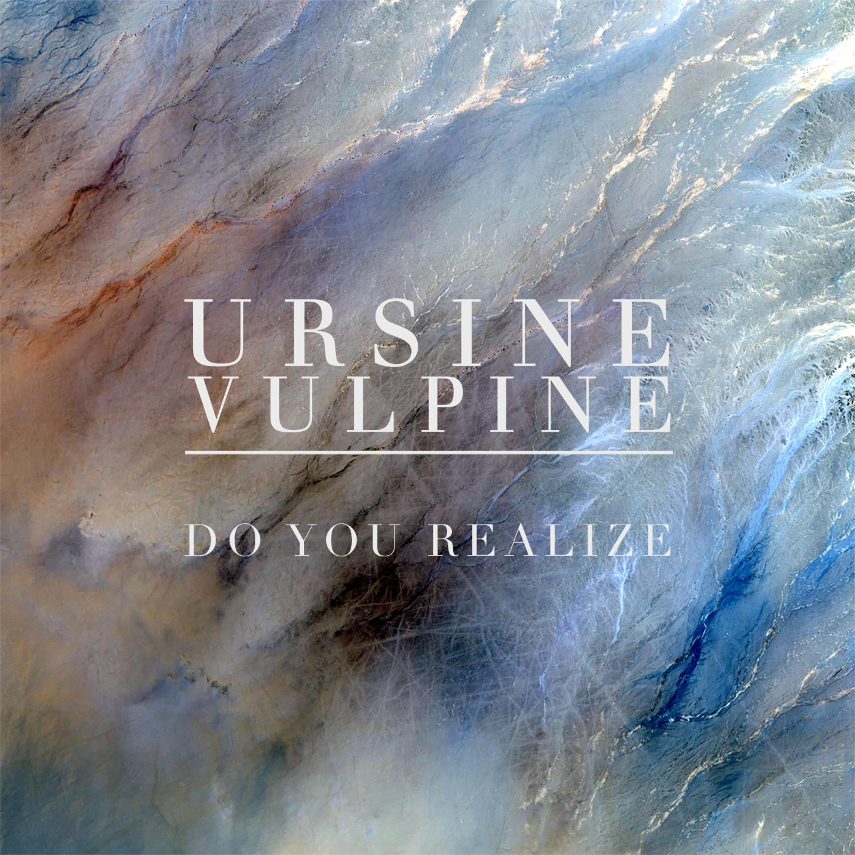 Do You Realize - Ursine Vulpine - 单曲 - 网易云音乐