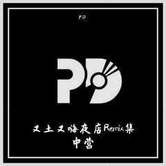 叶倩文 - 潇洒走一回 (Vina Bounce Remix)（P.D remix）