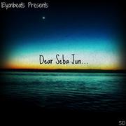 Dear Seba Jun