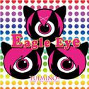 Eagle Eye专辑