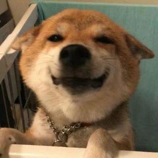 这里的歌不好听°