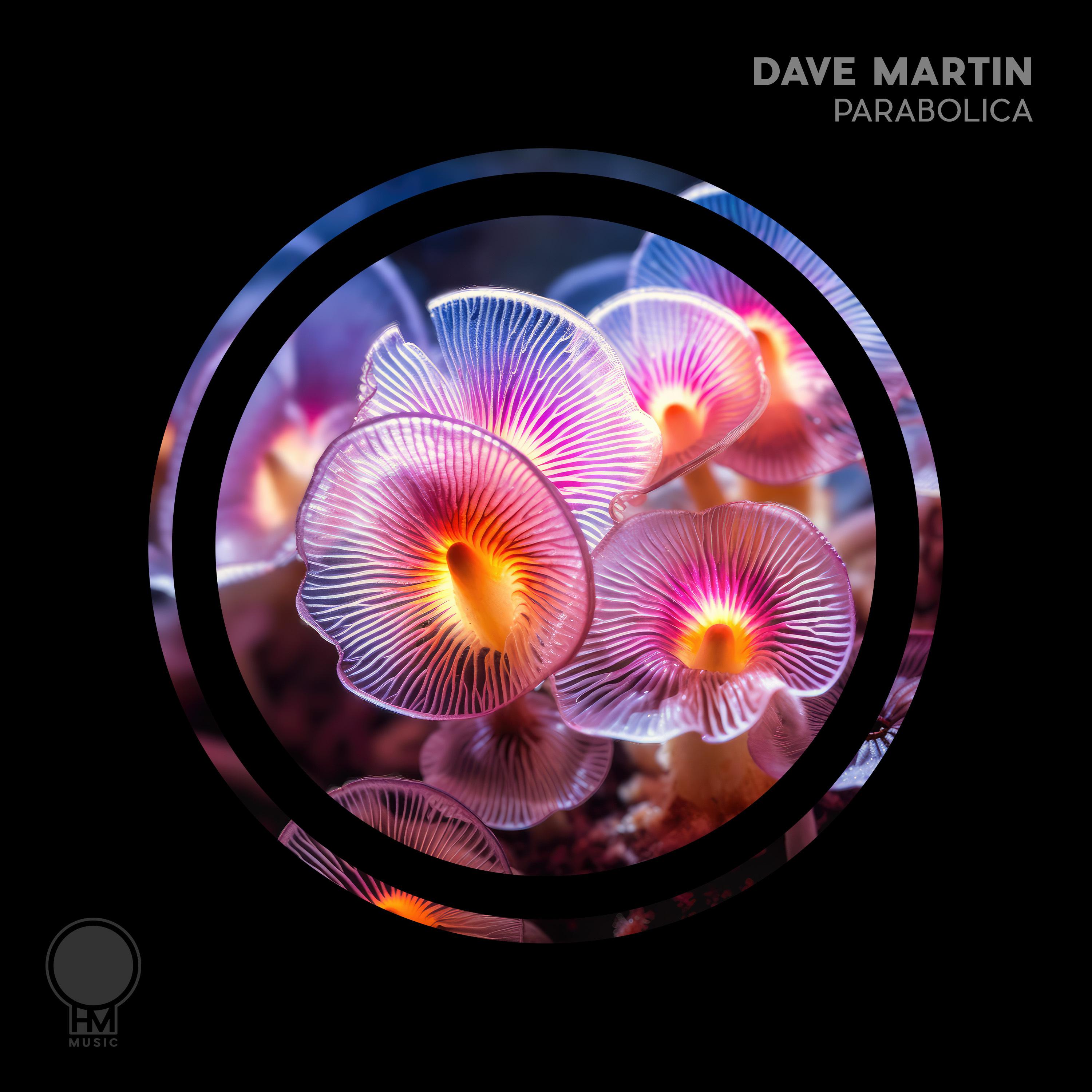 Dave Martin - Parabolica