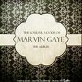 The Soulful Moods of Marvin Gaye