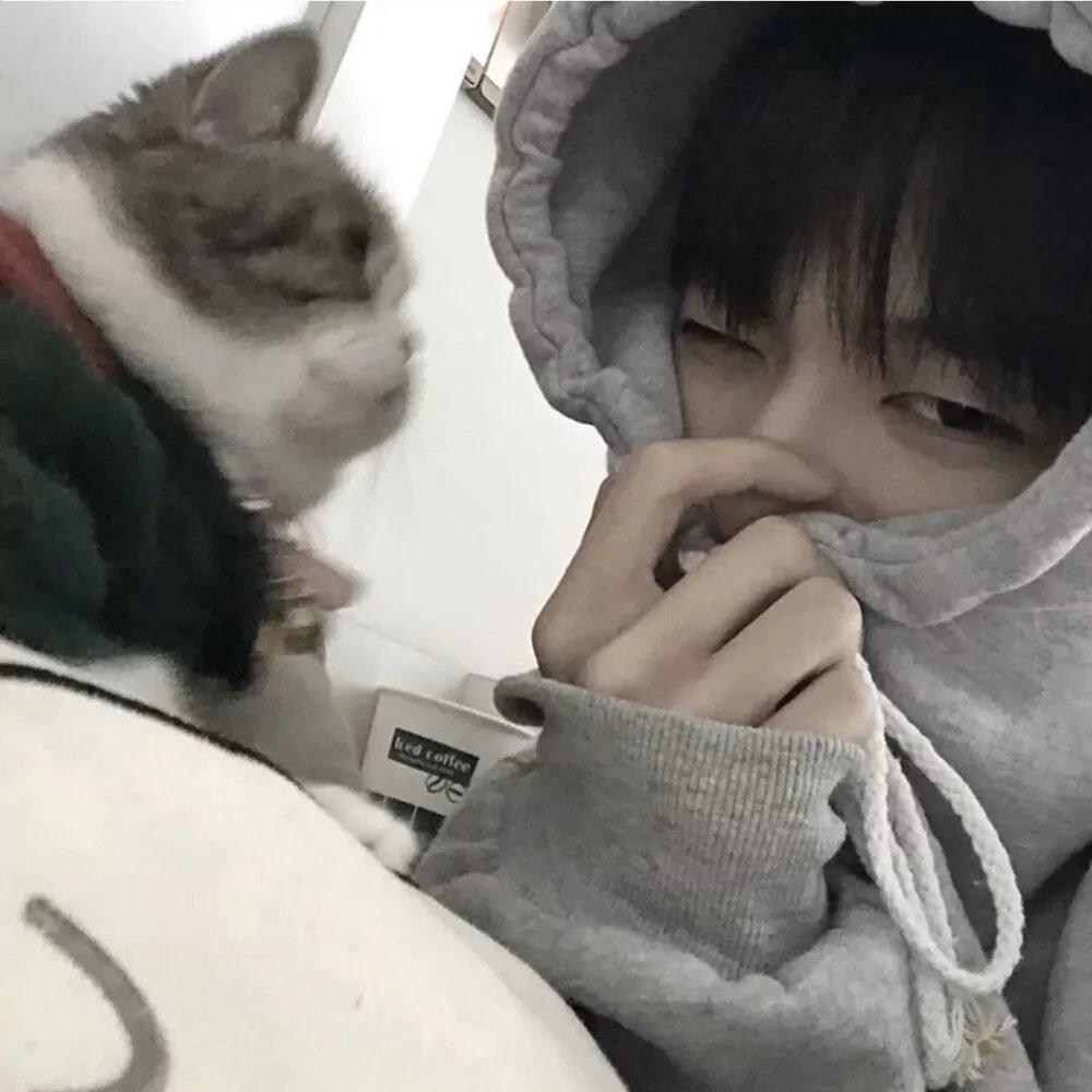 超好听的网络歌曲 男生