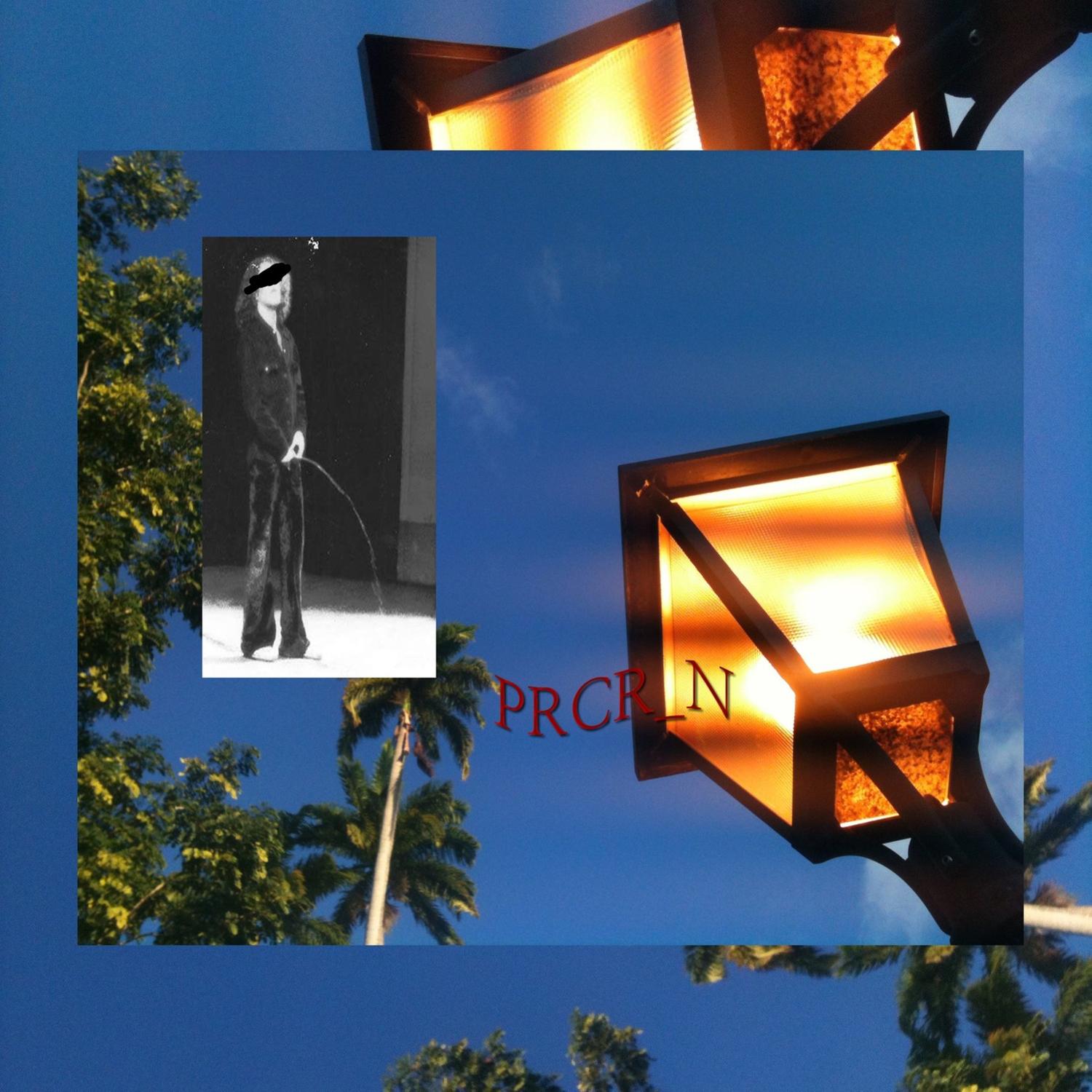 Prcr N