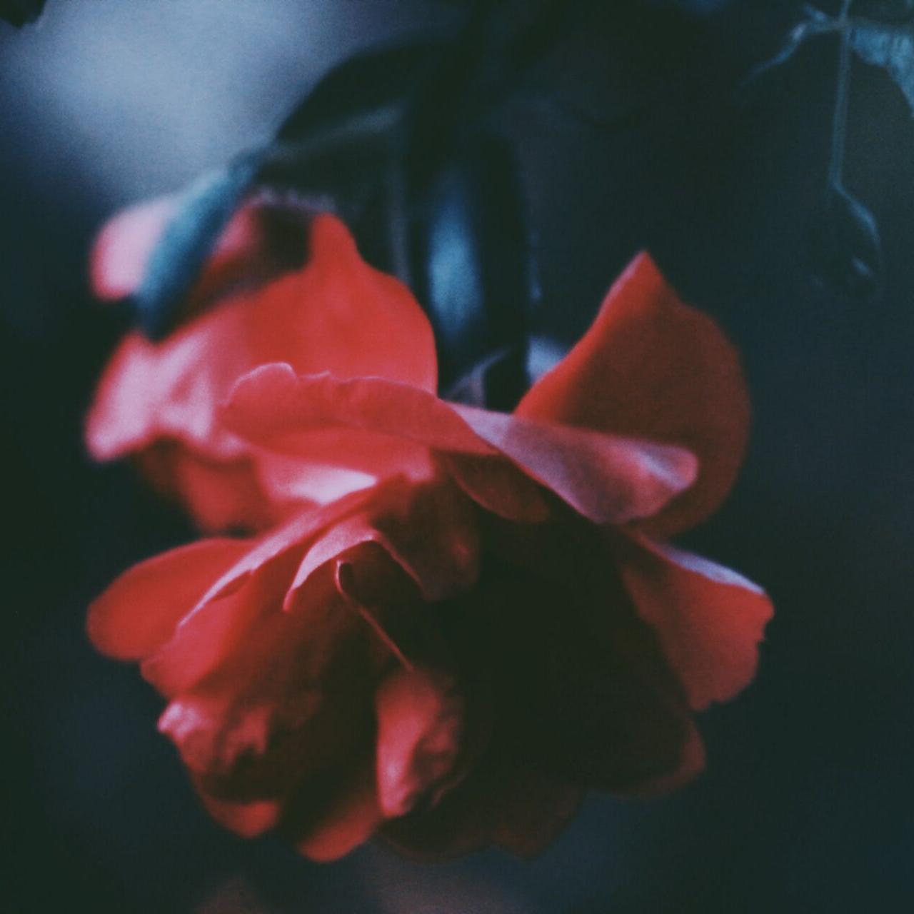 独白——记priest《默读》费渡场景联想曲