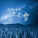 我期待的不是雪（而是有你的冬天）专辑