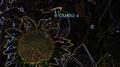 Flower专辑