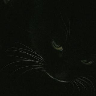 其实   我 已經 死 了？