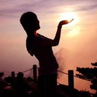 阳光洒落温柔的角落