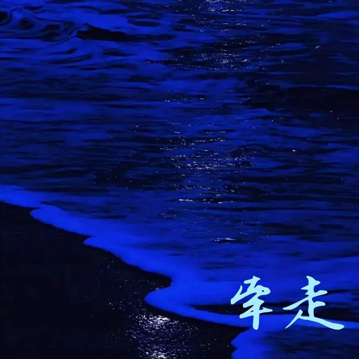 牵走