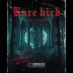 Rare bird