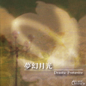 梦幻月光 - Drastic Preterite.专辑