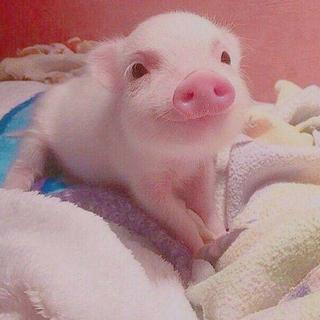 超甜Rap｜♥︎给 喜 歡 的 人 听 ♥︎