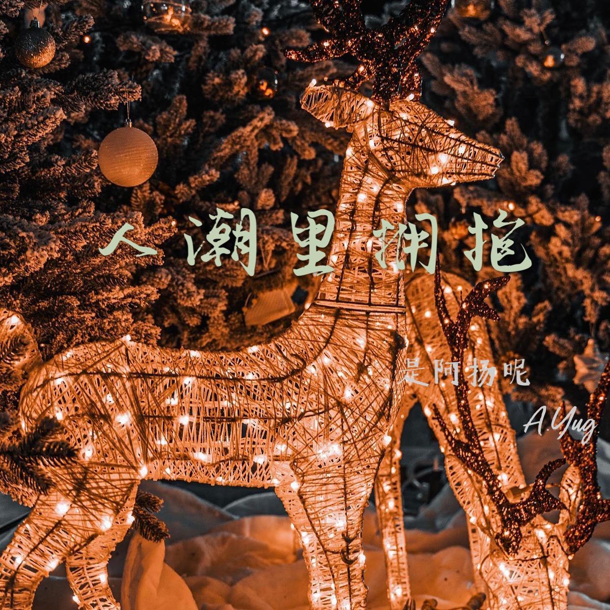 人潮里拥抱（翻自 DJ小鱼儿）