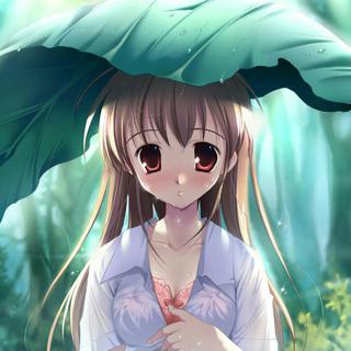 【华语乐坛】一听就热泪盈眶的神曲