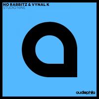 Vynal K - The Message (Multipass Remix)