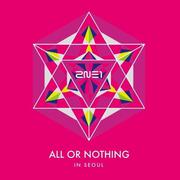 2014 2NE1 World Tour Live 'All or Nothing in Seoul'