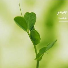 growth