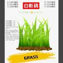 GRASS