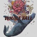 Whale Fall(鲸落)