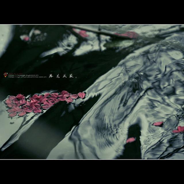 二十二桥枫别雨（古筝&琵琶）