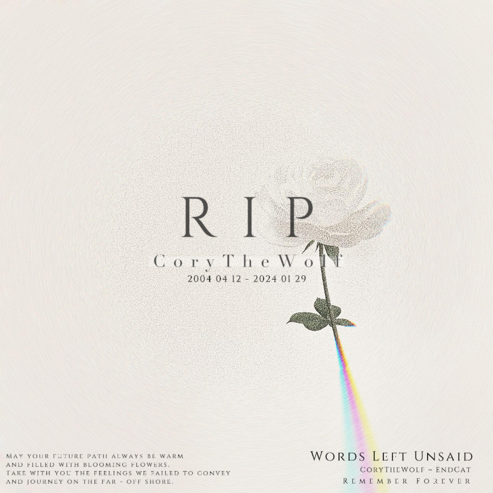 Words Left Unsaid - R.I.P.