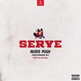 SERVE 