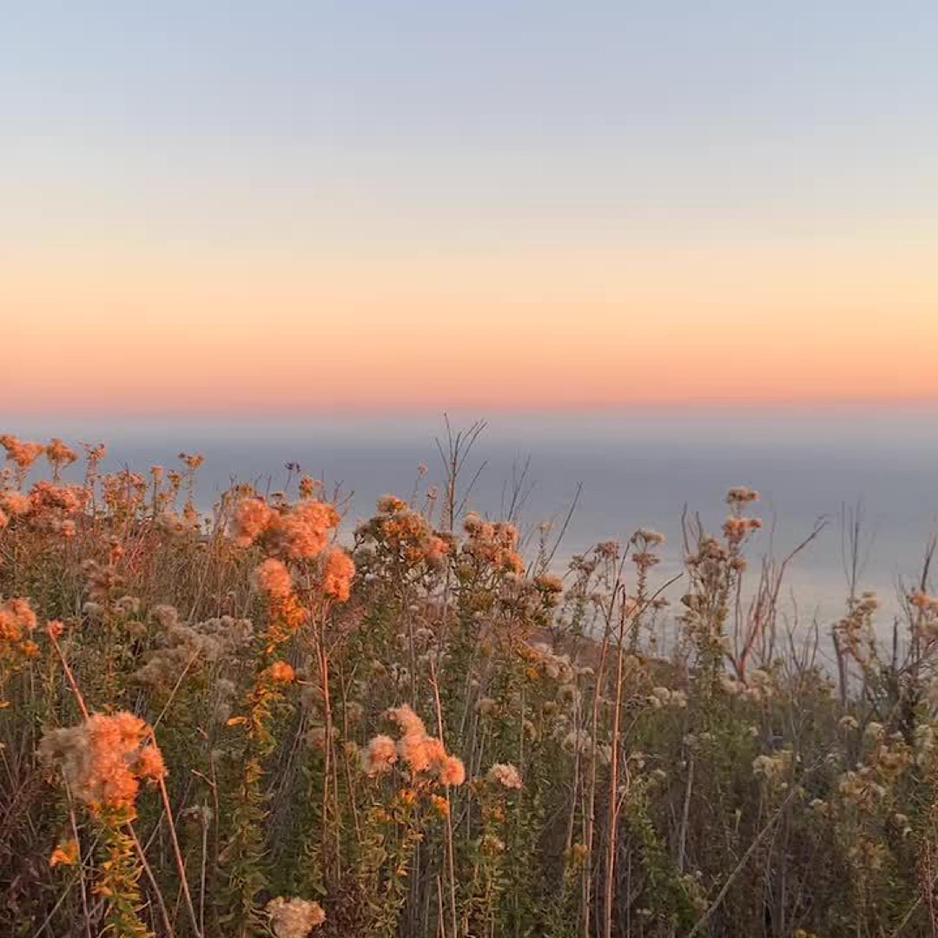 Sunset (feat. Ebmusic)