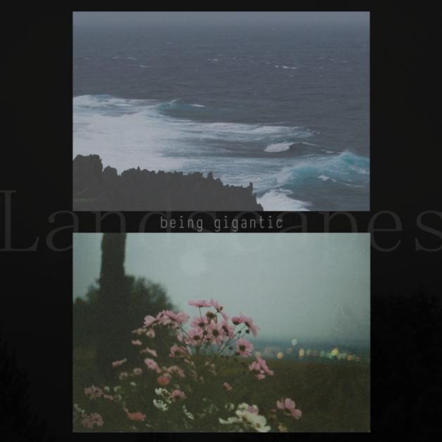 Landscapes