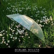 夏夜物语｜我想活在梦里