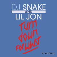 Turn Down for What - DJ Snake & Lil Jon (unofficial Instrumental) 无和声伴奏