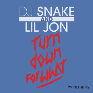 Dj Snake & Lil Jon Ft Juicy J-Turn Down for What (Djzeemax Simple V-Remix （降1半音）