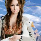 KOKIA《大事なものは目蓋の裏吉他谱》降D调_柔和的音色渲染