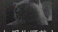 如果你要离去专辑