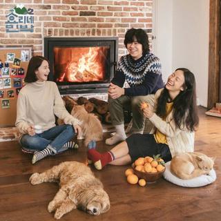 韩综 孝利家民宿2 BGM合辑•持续更新