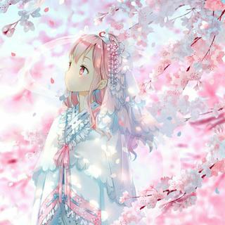 四月盛宴｜樱花赋曲，落去成歌
