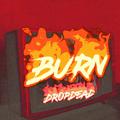 Burn/烧掉