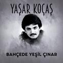 Bahçede Yeşil Çınar专辑