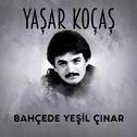 Bahçede Yeşil Çınar专辑